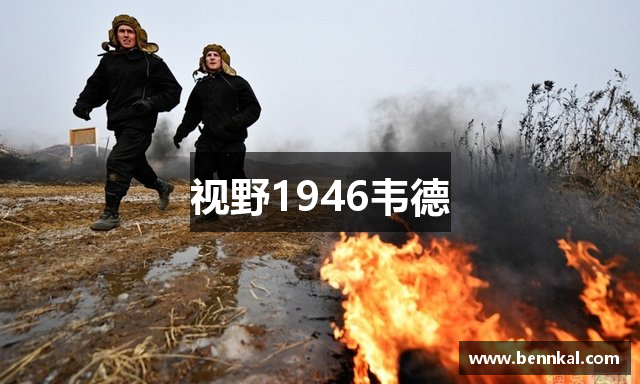 视野1946韦德